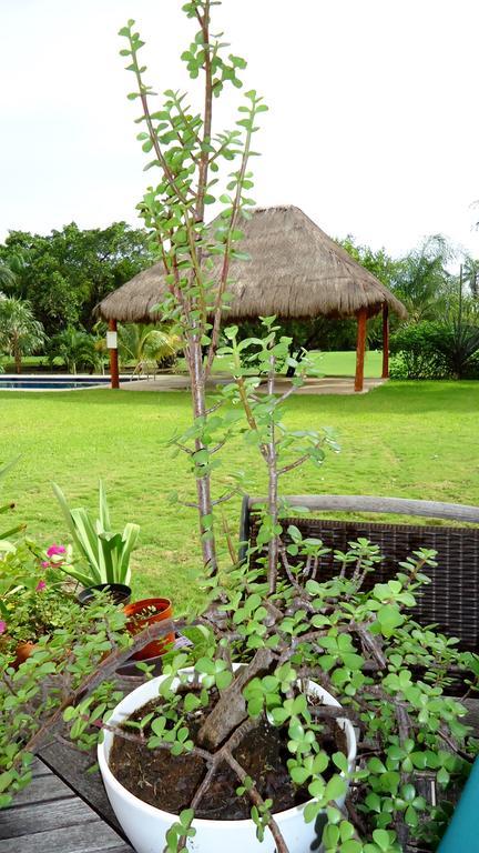 B&B Mom'S House Puerto Aventuras Ngoại thất bức ảnh